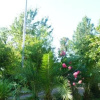 Отель David Guest House, фото 14