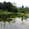 Отель Homestay Laman Bangkinang, фото 4