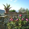Отель Farmhouse in a Lovely Park Near Florence With Beautiful Pool Among Olive Trees, фото 13