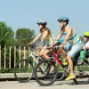 Отель Fortview House Bed & Breakfast, фото 12