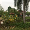 Отель Baan Suan View Dee Homestay, фото 15