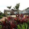 Отель The Ocean Pearl Resort And Spa, фото 1