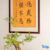 Отель Huisheyuan Inn, фото 12