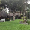 Отель Emerald Lodge, фото 26