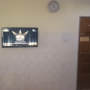 Отель Silver Moon Hotel, фото 11