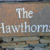 Отель The Hawthorns Bed & Breakfast, фото 4