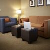 Отель Comfort Suites Saskatoon, фото 25