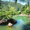 Отель Phanom Bencha Mountain Resort, фото 31