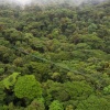 Отель Ficus - Monteverde, фото 19