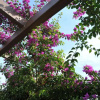 Отель Il Giardino B&B, фото 21