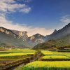 Отель Hunan New Pipaxi Hotel, фото 23