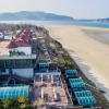 Отель Taean Jajaknamu Resort, фото 34