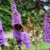 Отель B&B De Vossenbarm, фото 19