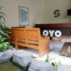 Отель OYO 693 Hotel Safara, фото 18