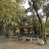 Отель Bandhavgarh Jungle Lodge, фото 1