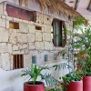 Отель One Bedroom Apt In The Heart Of Playa Only One Block to the Beach!, фото 1