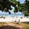 Отель Tuna Lodge, фото 5