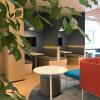 Отель Holiday Inn Express Hefei High Tech, an IHG Hotel, фото 13