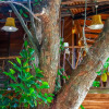 Отель Lake View Tree House, фото 22