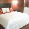 Отель Sky-Palace Inn & Suites Hutchinson, фото 8