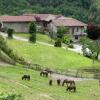 Отель Agriturismo Gallo, фото 31