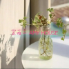 Отель Amy House NTU Taipei Gongguan Loft, фото 13