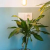 Отель Luso Guest House, фото 18