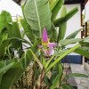 Отель Pousada Encanto dos Pireneus, фото 32