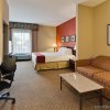 Отель Holiday Inn Express Hotel & Suites Tampa Northwest - Oldsmar, an IHG Hotel, фото 6