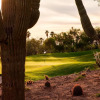 Отель The Phoenician, a Luxury Collection Resort, Scottsdale, фото 27