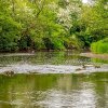 Отель Dalgarven spa venue, фото 4