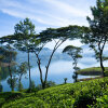 Отель Ceylon Tea Trails, фото 23