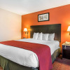 Отель Quality Inn & Suites, фото 20
