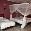 Отель Dzimbahwe Guest Lodge, фото 13