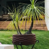 Отель La Escapada Cuernavaca, фото 16