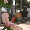 Отель B&B Porto Levante, фото 25