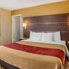 Отель Comfort Inn San Diego Airport At The Harbor, фото 5