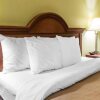 Отель Quality Inn Darien - North Brunswick в Дариене