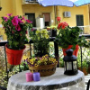Отель Vivaldi Balcony, фото 1
