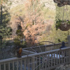 Отель Sequoia Lodge, фото 33