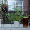 Отель Perfect Stay In The Heart Of Chorlton, фото 13