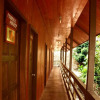 Отель Kinabatangan Wildlife Lodge - Hostel, фото 2