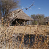 Отель Whistling Thorn Tented Camp, фото 3