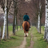 Отель Renovated Farmhouse Quiet Location With Garden, Terrace, Ideal for Walks & Cycling, фото 11