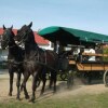 Отель Cierszewo Ośrodek Rekreacyjno - Szkoleniowy, фото 17