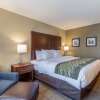 Отель Comfort Inn & Suites – Harrisburg Airport – Hershey South, фото 48