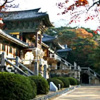 Отель Gyeongju Sillabang Guesthouse, фото 1