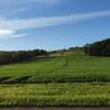 Отель Abschalten am Albsteig in Albbruck im Süd-Schwarzwald großzügige Ferienwohnung, фото 23