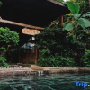 Отель Putuoquan Hot Spring Resort, фото 12