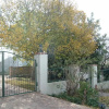 Отель Antique Silk B&B, фото 5